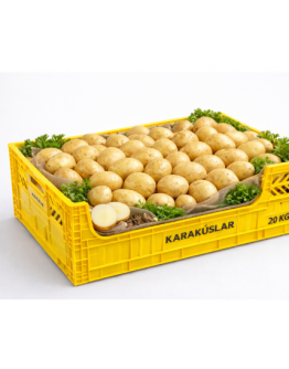 20 KG KASALI PATATES