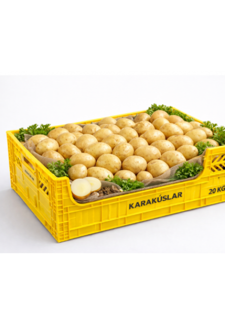 20 KG KASALI PATATES