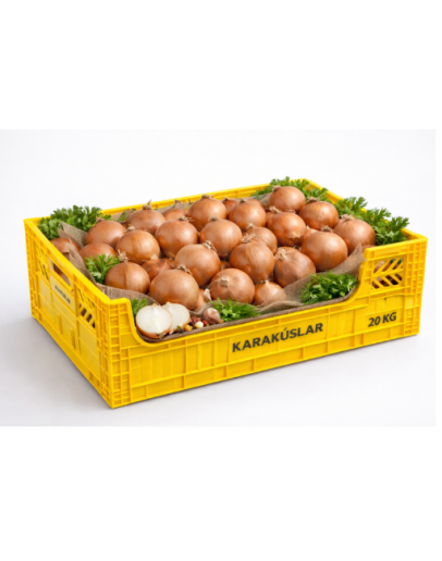 20 KG KASALI SOĞAN