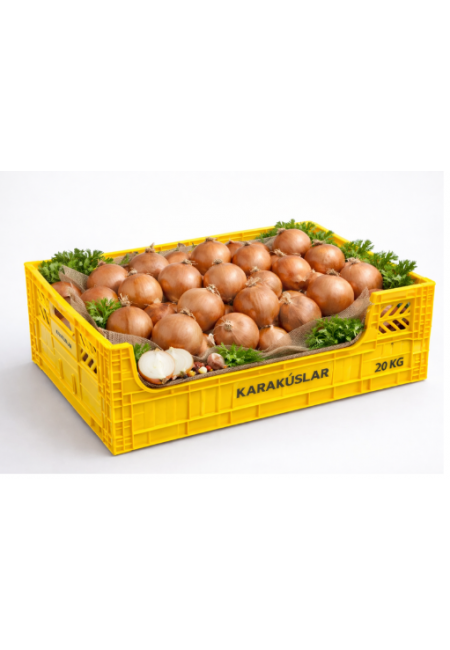 20 KG KASALI SOĞAN